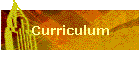 Curriculum